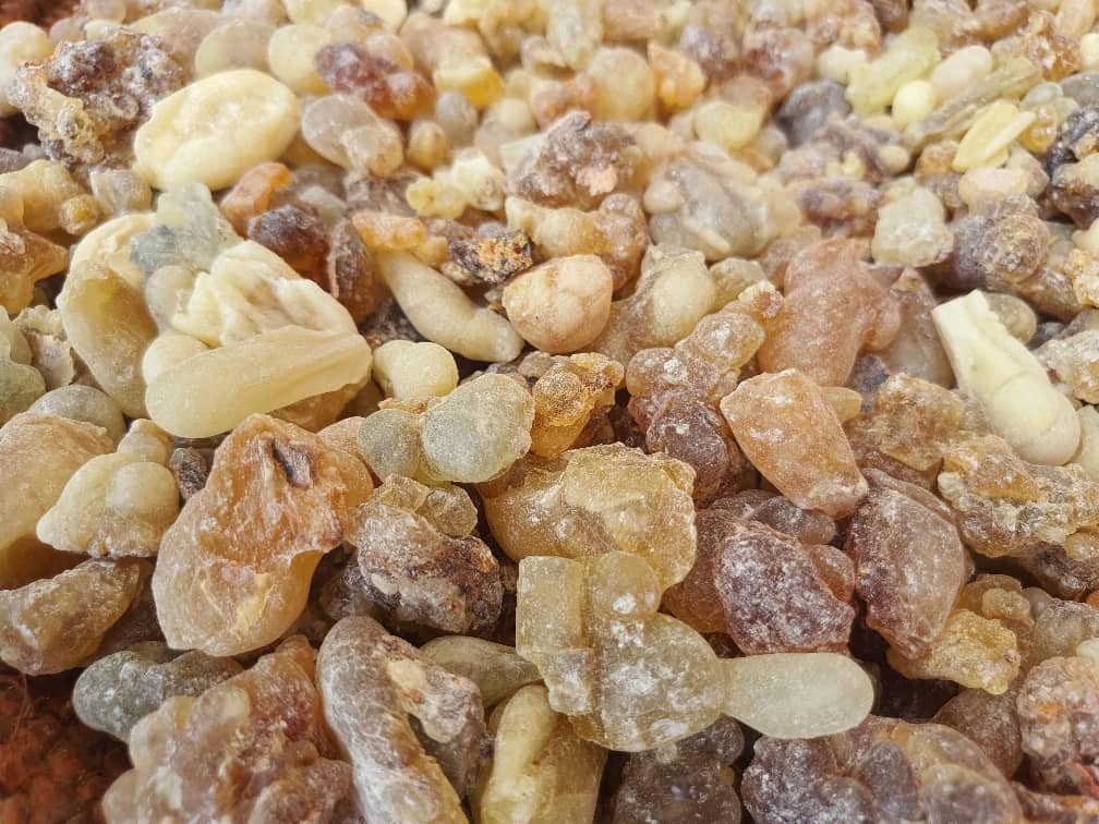 Frankincense / Olibanum Gum representative lot