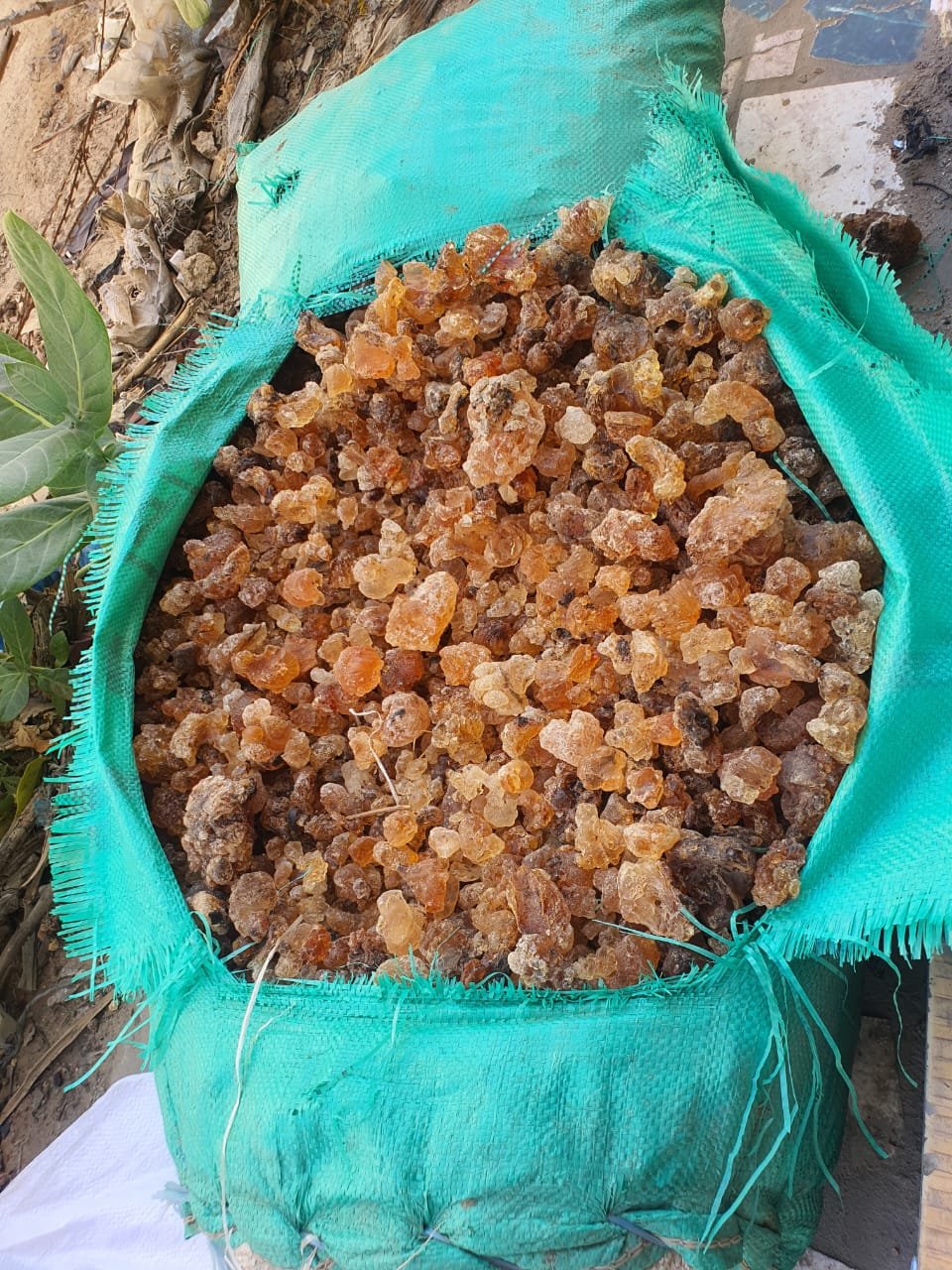 Gum Arabic representative lot