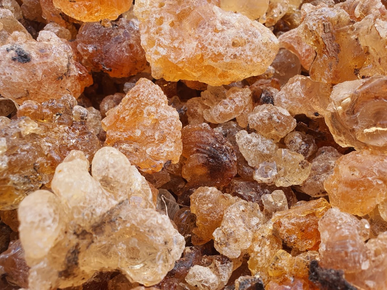 Xabag Cadaad resin close-up